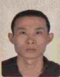 xiaowei-wang xiaowei-wang